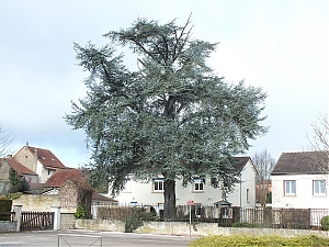 10_montchanin-france.jpg