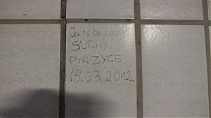 Nazwa pliku=10sarrbrusken-tunel.jpg
Wielkość pliku=224KiB
Rozmiar=780x440
Data dodania= 24, Maj 2013 10sarrbrusken-tunel.jpg