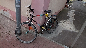 11_homburg.jpg