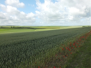 Nazwa pliku=12-N4_Maisons-En-Champagne.jpg
Wielkość pliku=323KiB
Rozmiar=780x585
Data dodania= 18, Czerwiec 2012 12-N4_Maisons-En-Champagne.jpg
