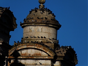 121_nerac-france.jpg