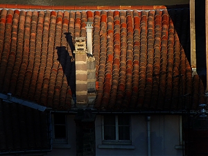 122_lyon-28-maj.jpg