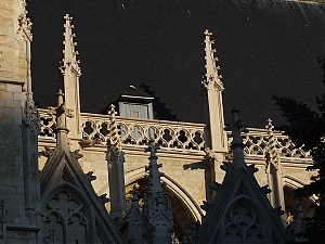 123_Brusell.jpg