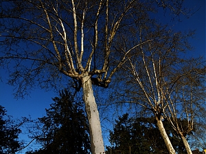 135_nerac-france.jpg