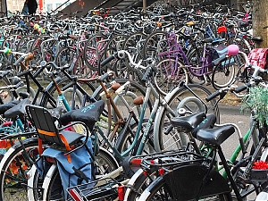 138_Amsterdam_15_07.jpg