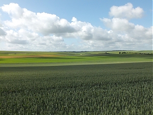 Nazwa pliku=14-N4_Maisons-En-Champagne.jpg
Wielkość pliku=314KiB
Rozmiar=780x585
Data dodania= 18, Czerwiec 2012 14-N4_Maisons-En-Champagne.jpg