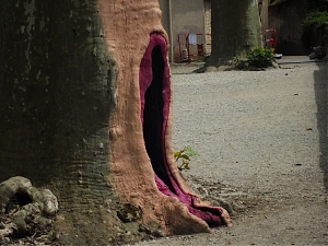 145_Beaune.jpg