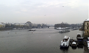 14_sylw_2015_praga.jpg