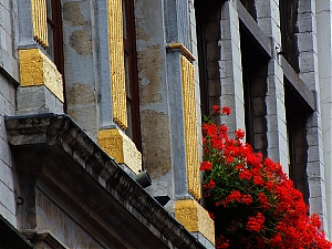 164_Brusell.jpg