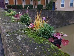 17-Metz_Francja.jpg