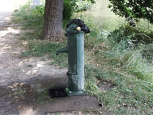 17_toulouse-2015.jpg