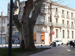 Nazwa pliku=19-cavaillon.jpg
Wielkość pliku=457KiB
Rozmiar=780x585
Data dodania= 25, Styczeń 2014 19-cavaillon.jpg
