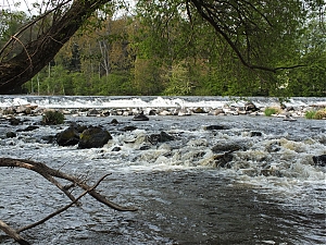 19_Kassel_04_2012.jpg