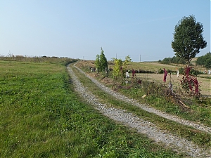 Nazwa pliku=200-wawoz_gluchy_dol-straszydle.jpg
Wielkość pliku=394KiB
Rozmiar=760x570
Data dodania= 19, Wrzesień 2014 200-wawoz_gluchy_dol-straszydle.jpg