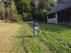 Nazwa pliku=201-wawoz_gluchy_dol-straszydle.jpg
Wielkość pliku=513KiB
Rozmiar=760x570
Data dodania= 19, Wrzesień 2014 201-wawoz_gluchy_dol-straszydle.jpg