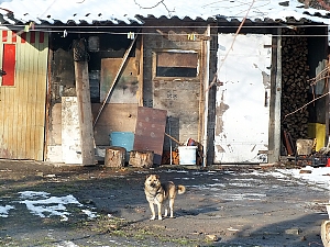22-tyczyn.jpg