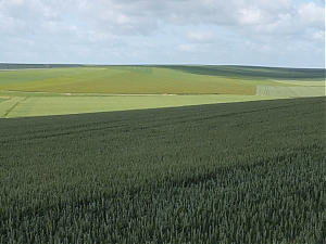 Nazwa pliku=23-N4_Maisons-En-Champagne.jpg
Wielkość pliku=309KiB
Rozmiar=780x585
Data dodania= 18, Czerwiec 2012 23-N4_Maisons-En-Champagne.jpg