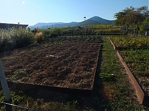Nazwa pliku=27_Aire-Du-Haut-Koenigsbourg_.jpg
Wielkość pliku=469KiB
Rozmiar=780x585
Data dodania= 23, Wrzesień 2012 27_Aire-Du-Haut-Koenigsbourg_.jpg