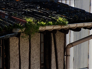 27_nerac-france.jpg