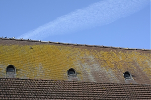 288_nantes.jpg