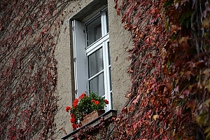319_nantes.jpg