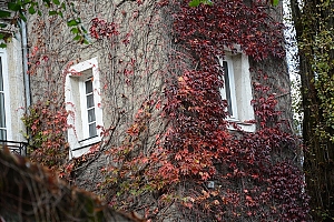323_nantes.jpg