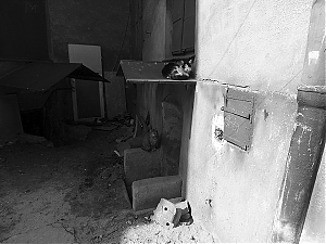 332_radom_29-03-15.jpg