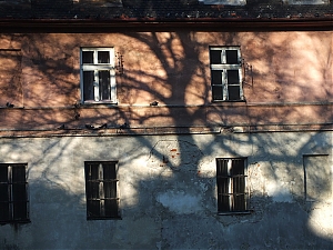 Nazwa pliku=34_krakow_2014_styczen.jpg
Wielkość pliku=376KiB
Rozmiar=780x585
Data dodania= 16, Styczeń 2014 34_krakow_2014_styczen.jpg
