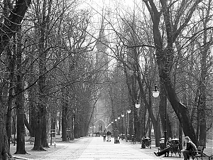 371_radom_29-03-15.jpg