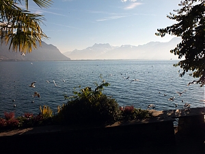 37_montreux_ch.jpg