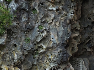 Nazwa pliku=39_Beaune-France.jpg
Wielkość pliku=293KiB
Rozmiar=780x585
Data dodania= 05, Lipiec 2013 39_Beaune-France.jpg