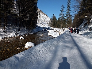 Nazwa pliku=40_zakopane_bialka-2015_02_14.jpg
Wielkość pliku=488KiB
Rozmiar=780x585
Data dodania= 23, Luty 2015 40_zakopane_bialka-2015_02_14.jpg