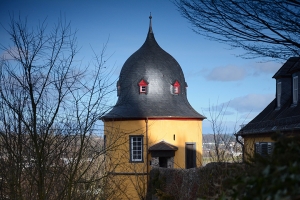 42_montaubar_2016.jpg