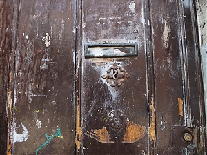 43_toulouse-2015.jpg