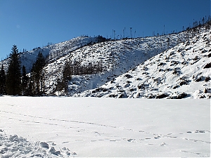Nazwa pliku=43_zakopane_bialka-2015_02_14.jpg
Wielkość pliku=463KiB
Rozmiar=780x585
Data dodania= 23, Luty 2015 43_zakopane_bialka-2015_02_14.jpg