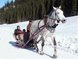 Nazwa pliku=46_zakopane_bialka-2015_02_14.jpg
Wielkość pliku=464KiB
Rozmiar=780x585
Data dodania= 23, Luty 2015 46_zakopane_bialka-2015_02_14.jpg