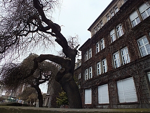 47-mulhouse.jpg