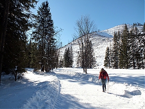Nazwa pliku=48_zakopane_bialka-2015_02_14.jpg
Wielkość pliku=528KiB
Rozmiar=780x585
Data dodania= 23, Luty 2015 48_zakopane_bialka-2015_02_14.jpg