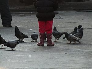 Nazwa pliku=49_krakow_2014_styczen.jpg
Wielkość pliku=322KiB
Rozmiar=780x585
Data dodania= 16, Styczeń 2014 49_krakow_2014_styczen.jpg