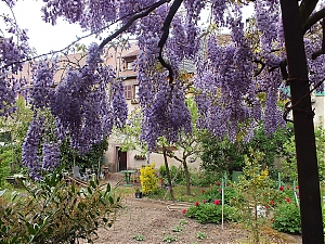 49_st_hippolyte.jpg