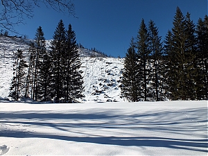 Nazwa pliku=49_zakopane_bialka-2015_02_14.jpg
Wielkość pliku=498KiB
Rozmiar=780x585
Data dodania= 23, Luty 2015 49_zakopane_bialka-2015_02_14.jpg