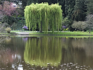 50_Kassel_04_2012.jpg