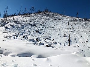 Nazwa pliku=50_zakopane_bialka-2015_02_14.jpg
Wielkość pliku=462KiB
Rozmiar=780x585
Data dodania= 23, Luty 2015 50_zakopane_bialka-2015_02_14.jpg