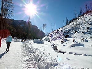 Nazwa pliku=51_zakopane_bialka-2015_02_14.jpg
Wielkość pliku=467KiB
Rozmiar=780x585
Data dodania= 23, Luty 2015 51_zakopane_bialka-2015_02_14.jpg