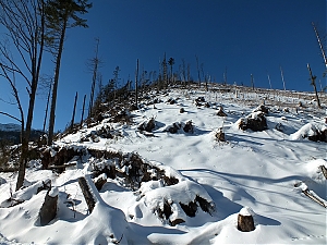 Nazwa pliku=52_zakopane_bialka-2015_02_14.jpg
Wielkość pliku=461KiB
Rozmiar=780x585
Data dodania= 23, Luty 2015 52_zakopane_bialka-2015_02_14.jpg