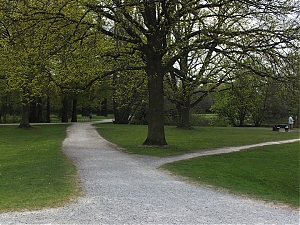 53_Kassel_04_2012.jpg