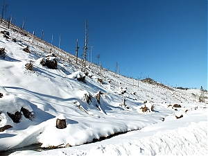 Nazwa pliku=53_zakopane_bialka-2015_02_14.jpg
Wielkość pliku=395KiB
Rozmiar=780x585
Data dodania= 23, Luty 2015 53_zakopane_bialka-2015_02_14.jpg