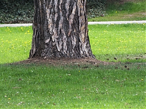 54_Kassel_04_2012.jpg
