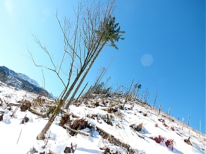 Nazwa pliku=54_zakopane_bialka-2015_02_14.jpg
Wielkość pliku=442KiB
Rozmiar=780x585
Data dodania= 23, Luty 2015 54_zakopane_bialka-2015_02_14.jpg