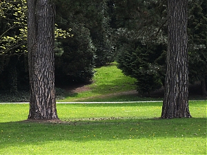 55_Kassel_04_2012.jpg